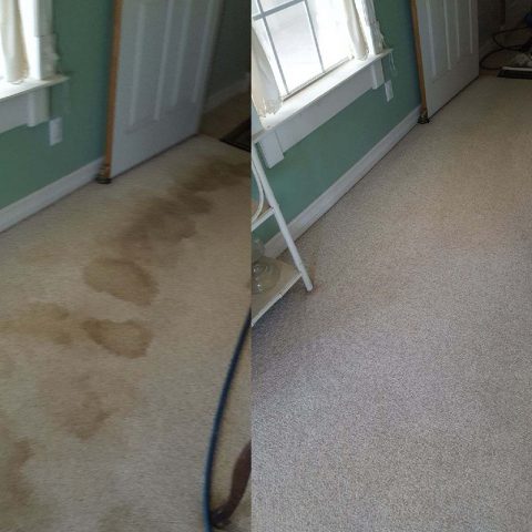 Before And After Carpet Cleaning - Dynamic Carpet Care