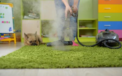 Carpet Cleaning and Air Quality